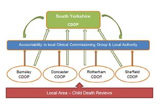 Child death reviews feed into the local child death overview panels which have accountability to clinical commissioning groups and local authorities